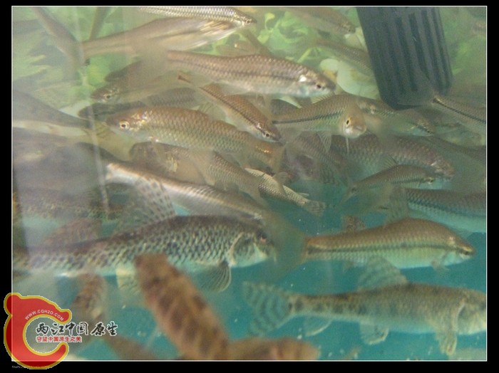 DSCF1173.jpg