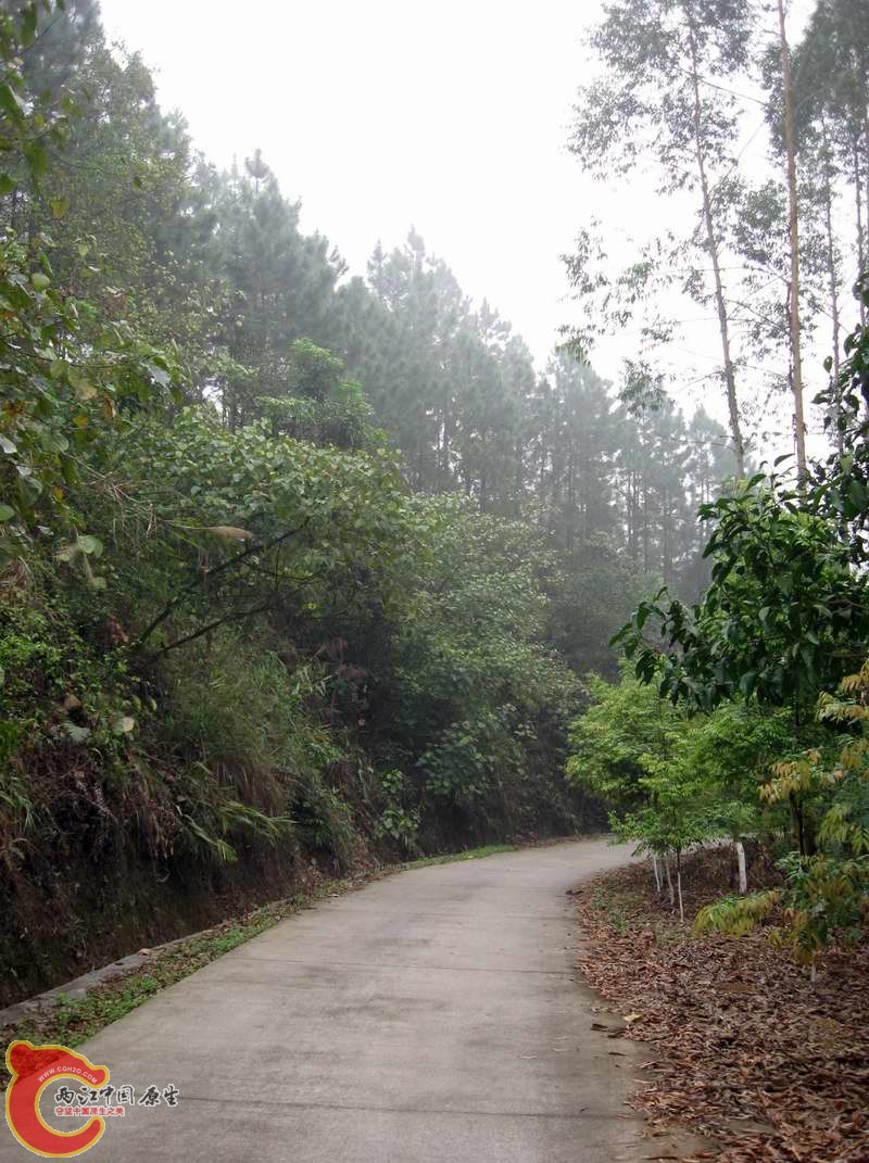 爬坡累得人黑云失