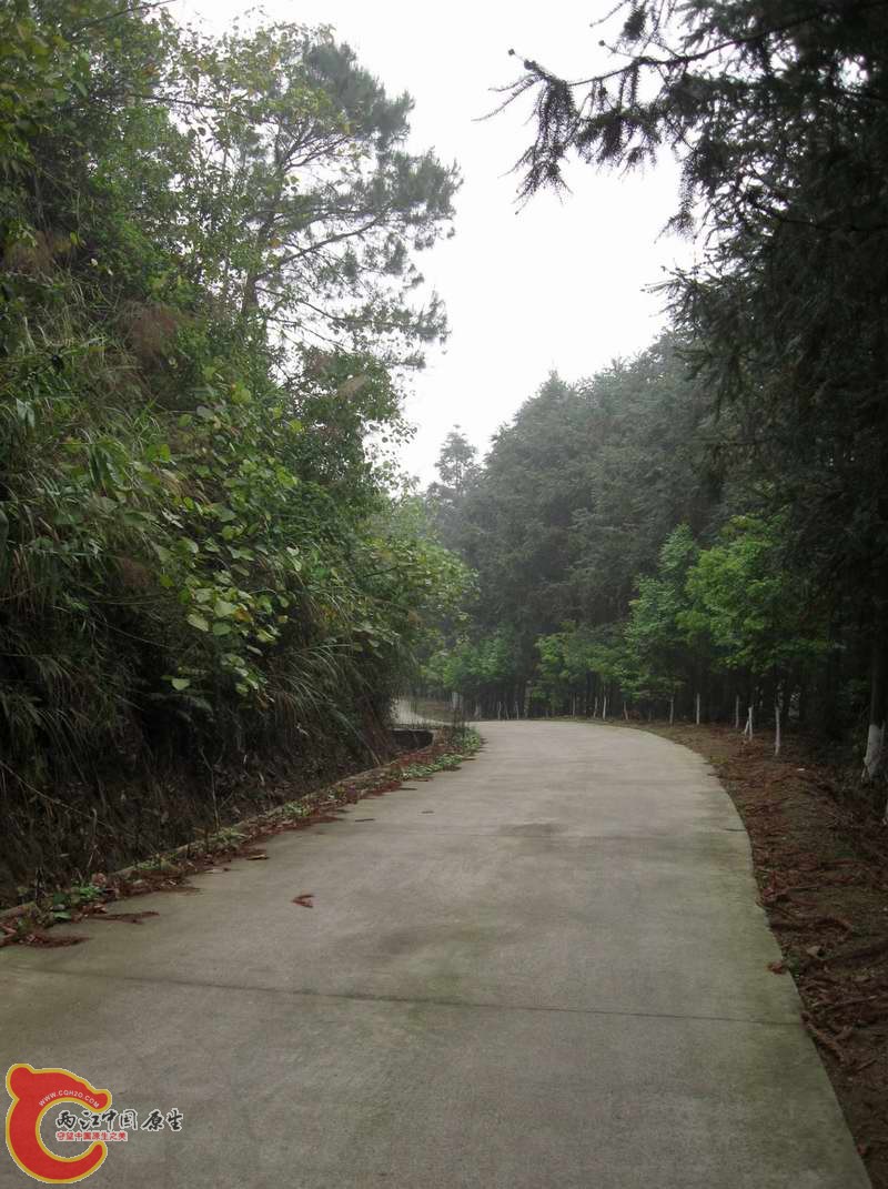 爬坡累得人黑云失