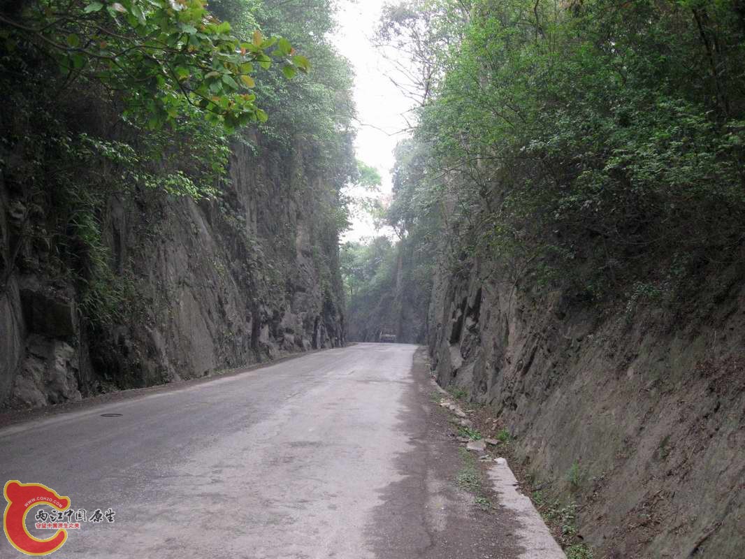 骑出林场了来到了某条路