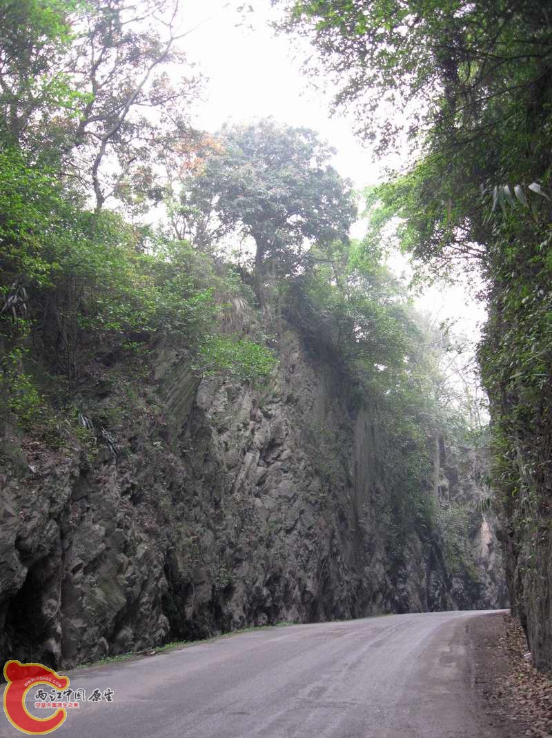 调整大小 旋转 照片 121_nEO_IMG.jpg