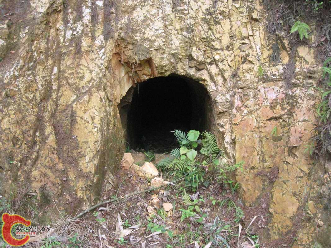 墓穴?盗洞?防空洞?