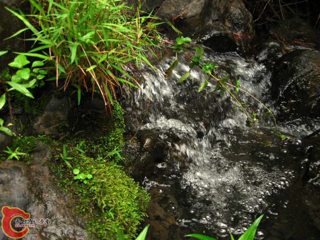 调整大小 照片 147_nEO_IMG.jpg