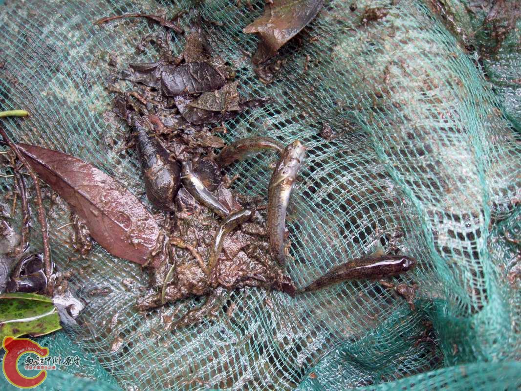 什么不多就是溪吻多~