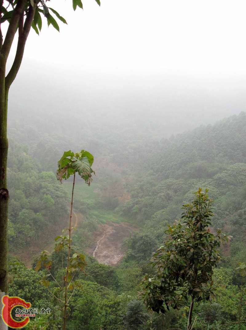 下面那块烂泥地上次来的没注意被陷了大半条腿进去搞得一身烂泥,想起来就不爽.以前去采过有有条纹小巴和叉之 ...