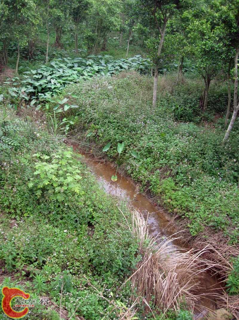 这里估计有叉和别的东西,烂泥脏时间紧没下去采