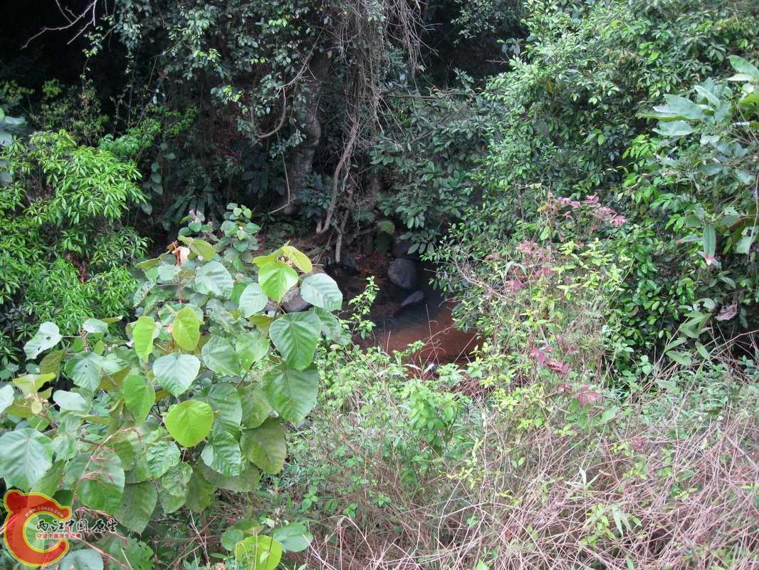 这里以前采过没什么东西的就一些虾和蟹没下去采