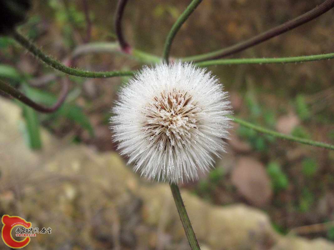 调整大小 照片 076_nEO_IMG.jpg