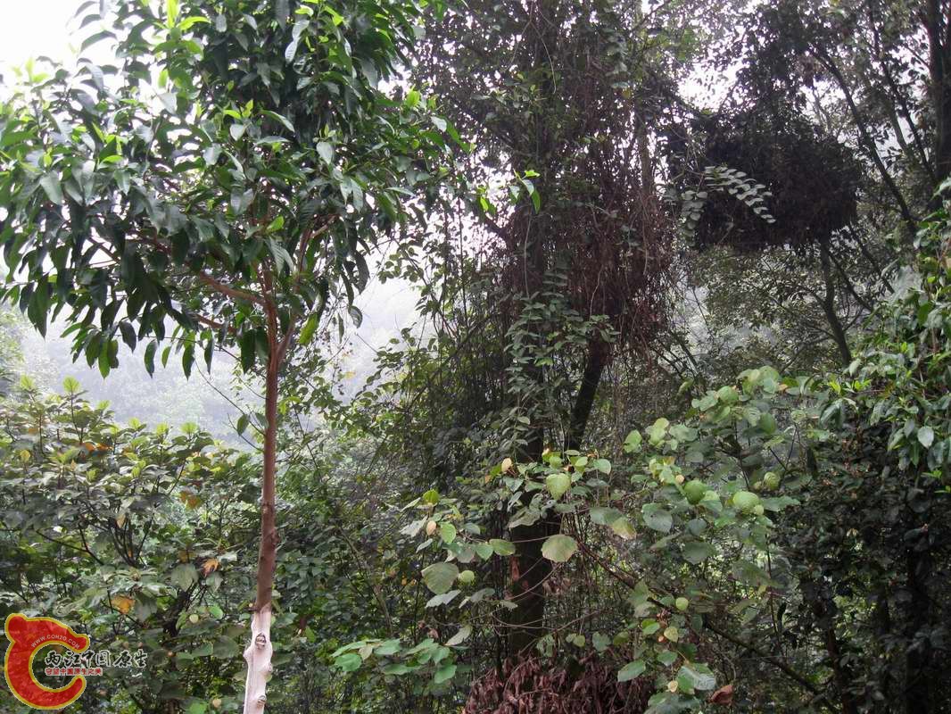 调整大小 照片 030_nEO_IMG.jpg