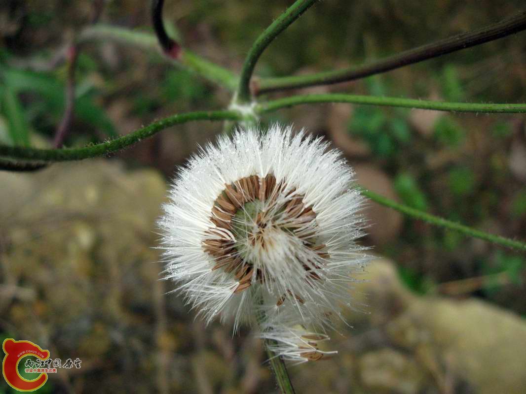 调整大小 照片 077_nEO_IMG.jpg