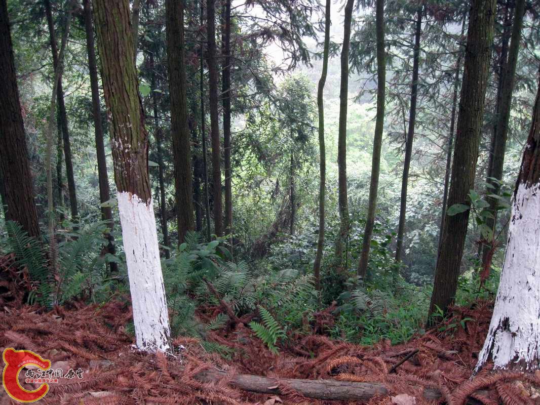 调整大小 照片 039_nEO_IMG.jpg