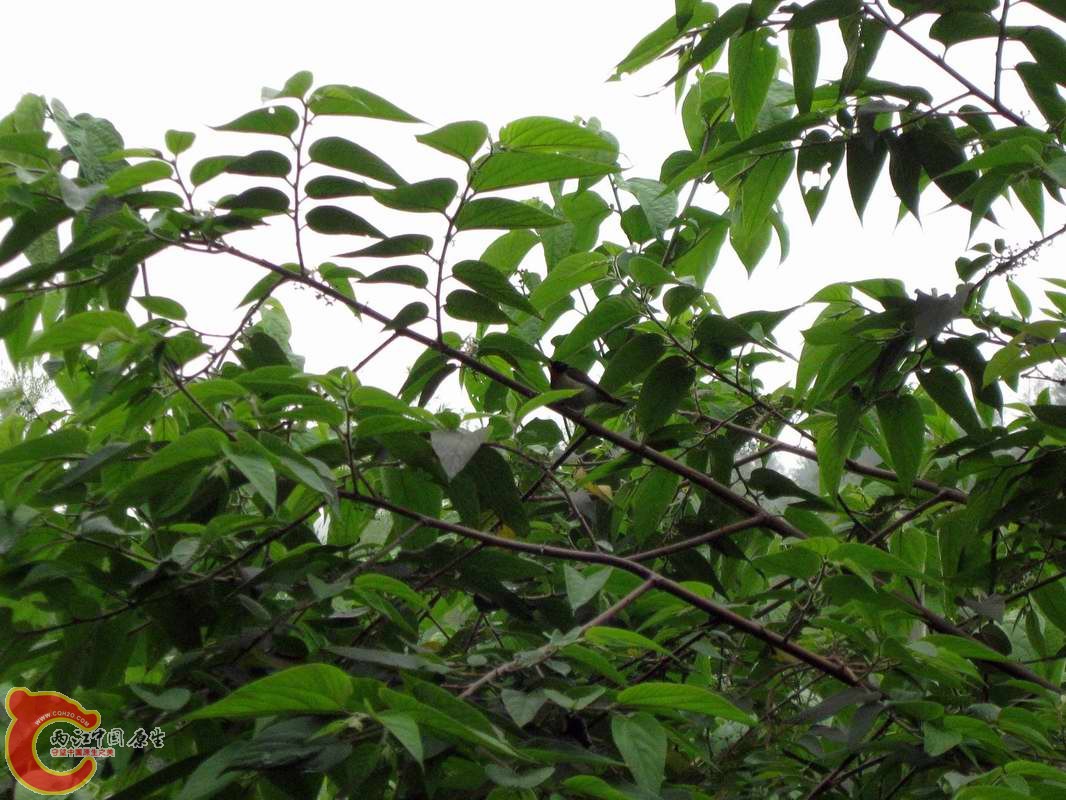 调整大小 照片 100_nEO_IMG.jpg