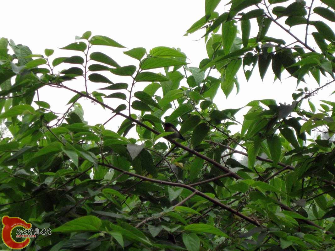 调整大小 照片 101_nEO_IMG.jpg