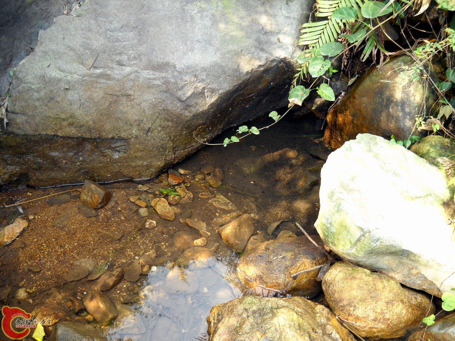 DSCN0219.JPG