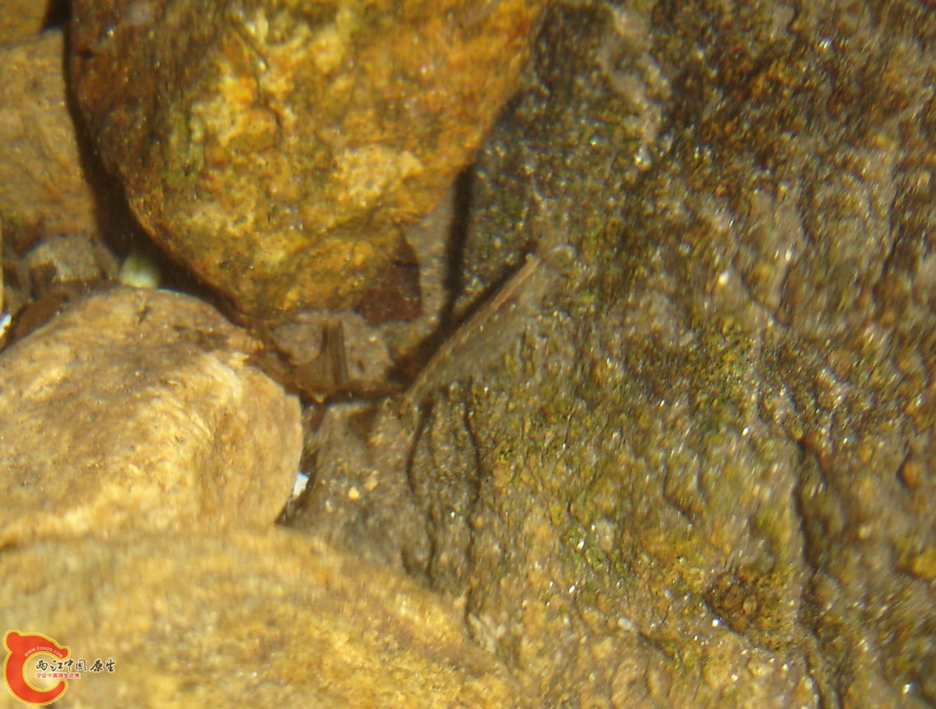 DSC00037.JPG