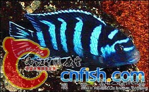 2007341502719318.jpg