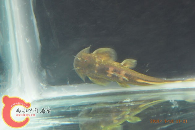 R0014177.jpg