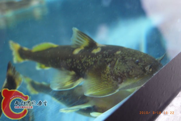 R0014181.jpg