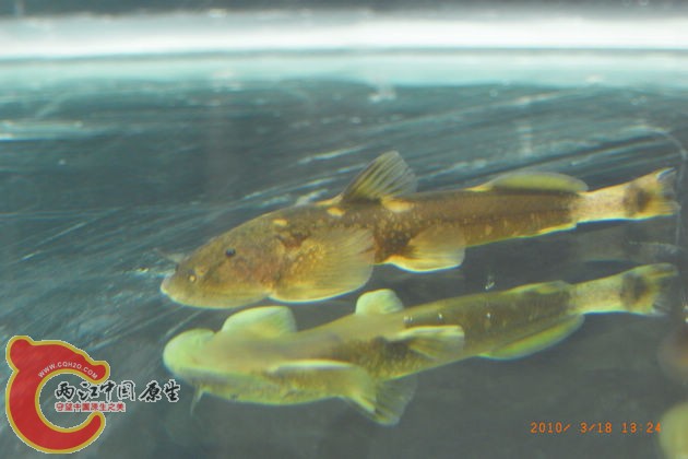 R0014184.jpg