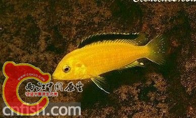 未命名1.jpg