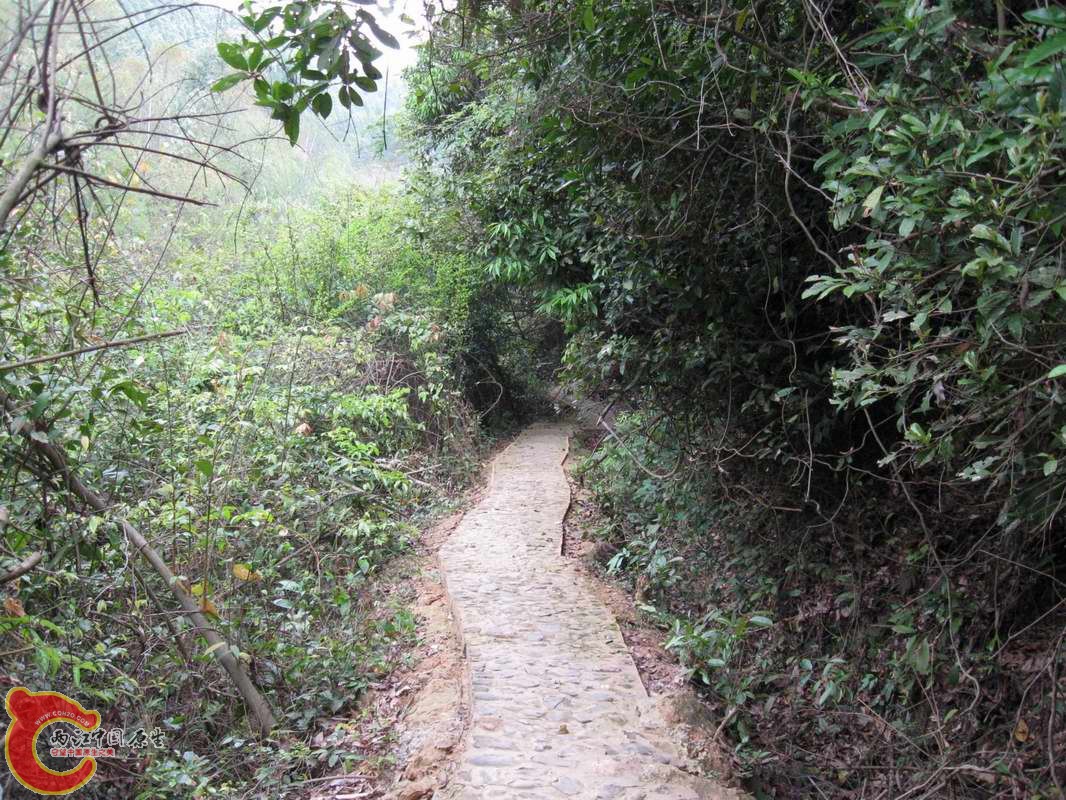 烂路一条