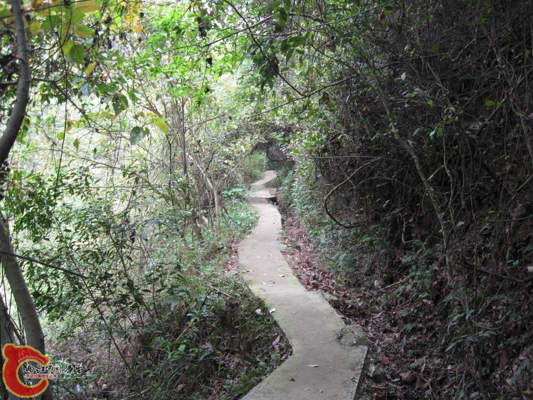 烂路一条