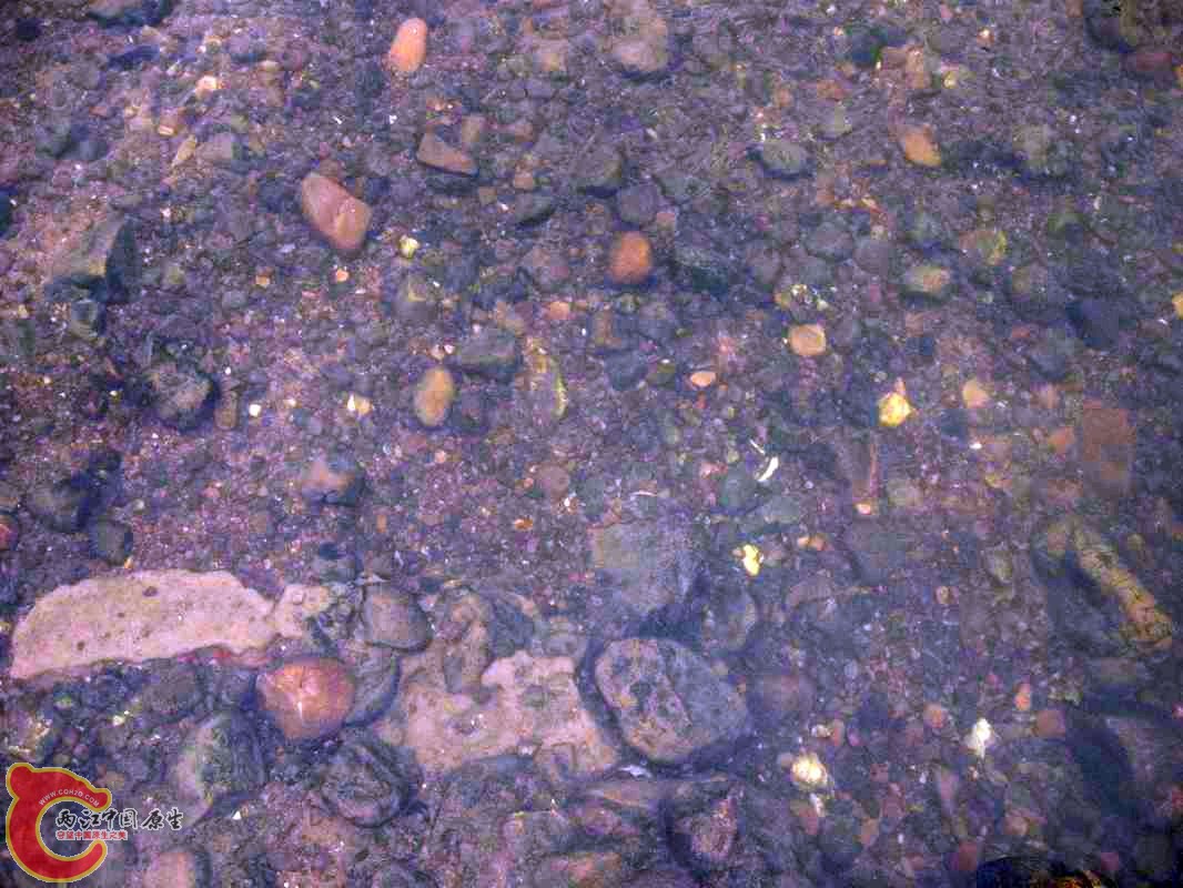 作案环境