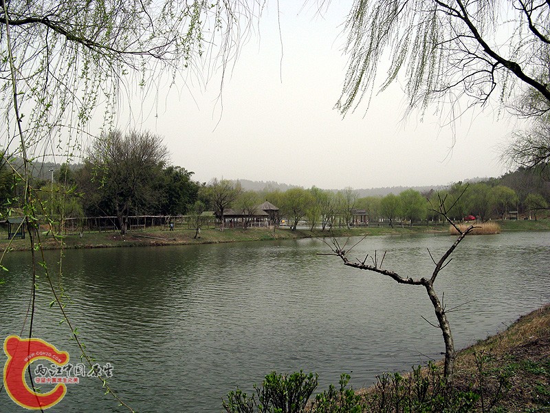 IMG_0045.jpg
