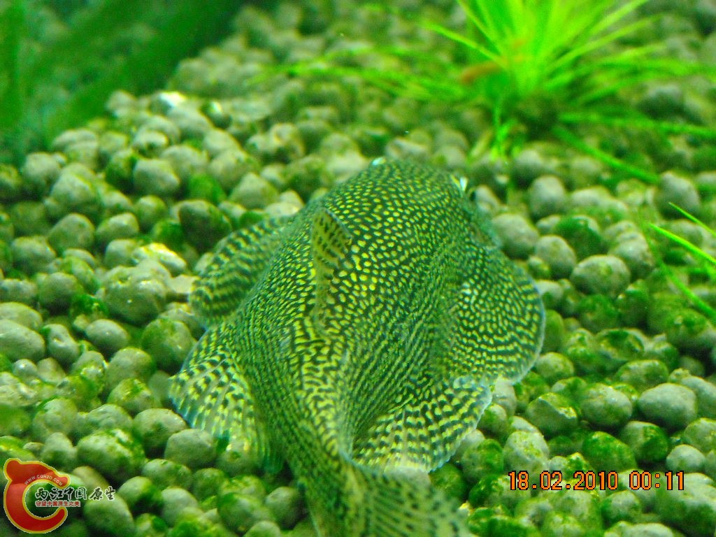 DSCN3237.JPG