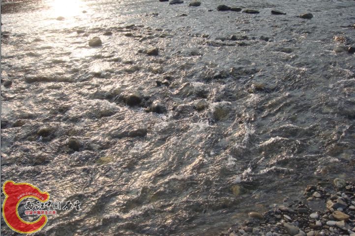激流1.jpg