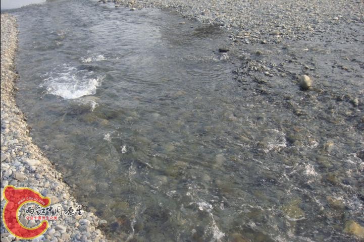 激流2.jpg