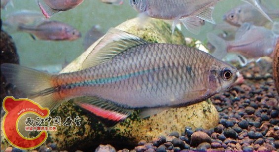 浙江