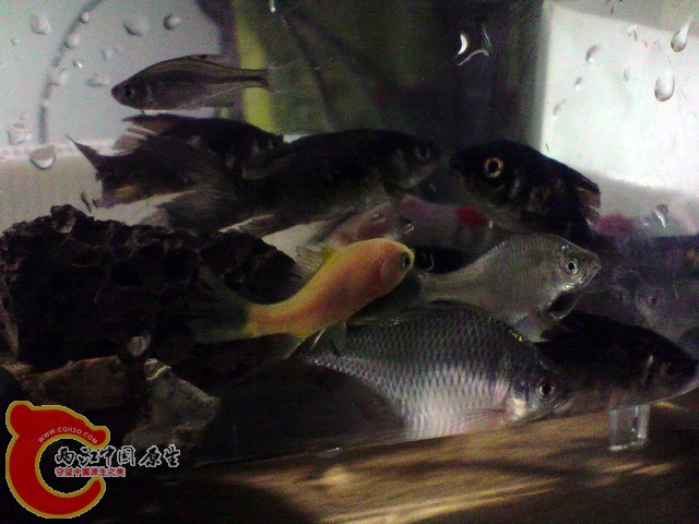 P250310_13.55.jpg