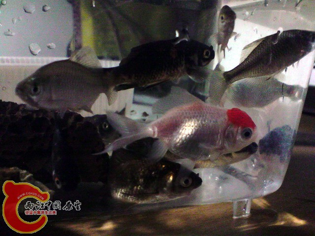 P250310_13.56.jpg