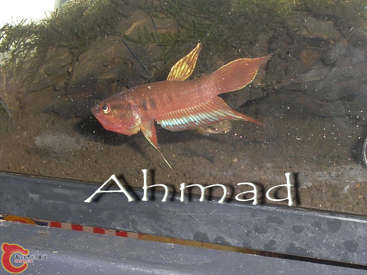 P1010178.jpg