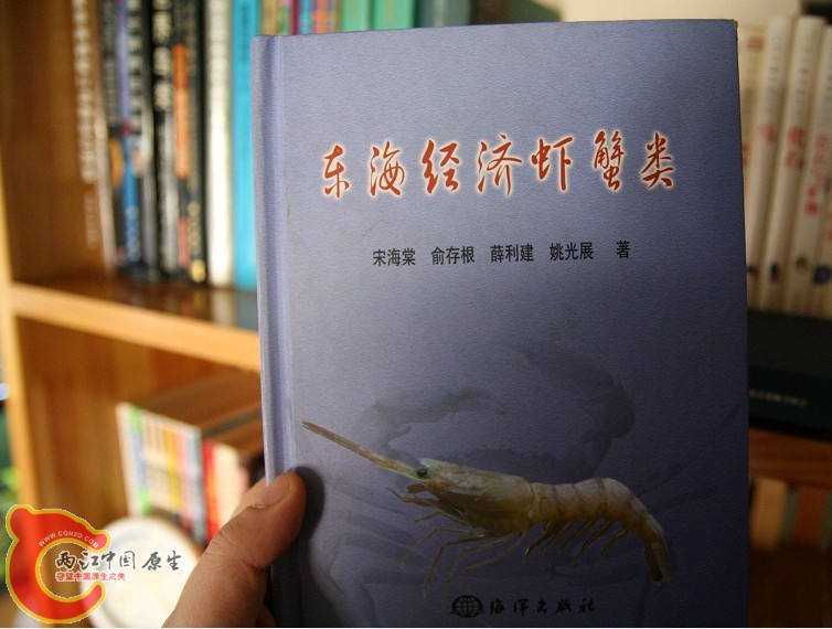 未命名4.jpg