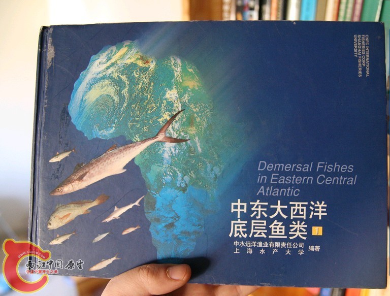 未命名9.jpg