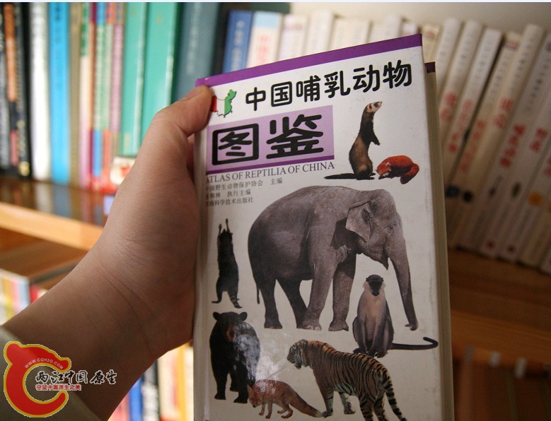 未命名6.jpg
