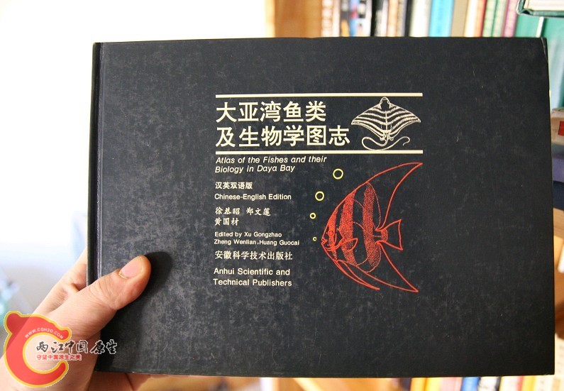未命名11.jpg