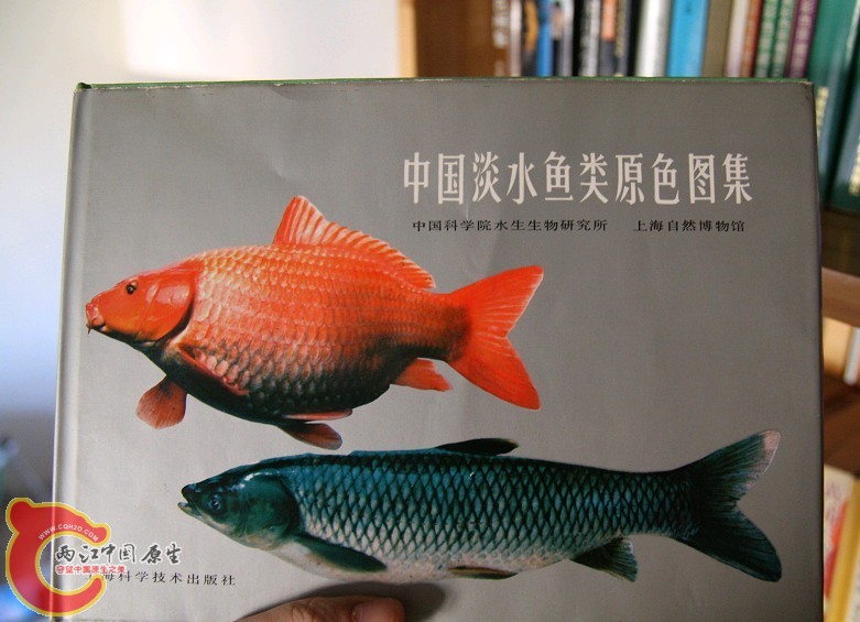 未命名8.jpg