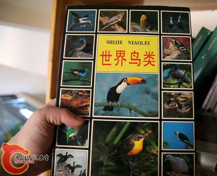 未命名23.jpg