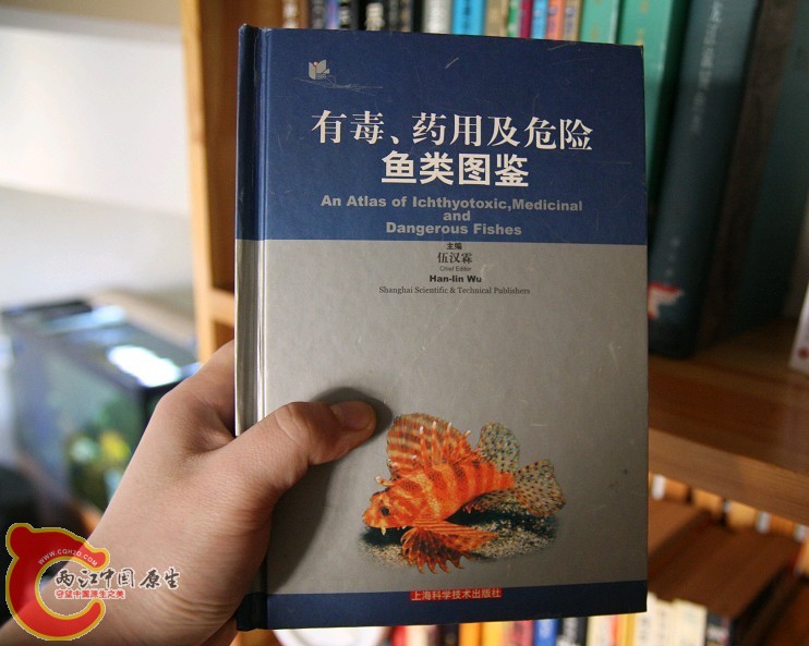未命名15.jpg