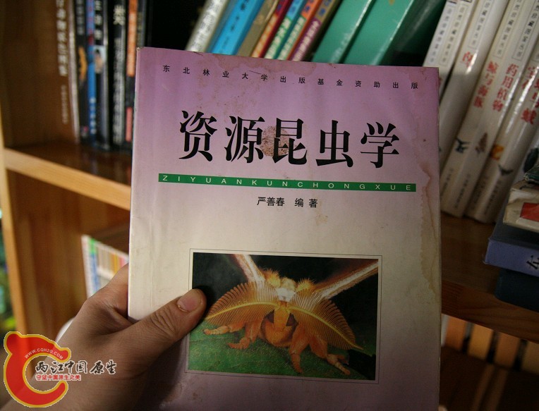 未命名19.jpg