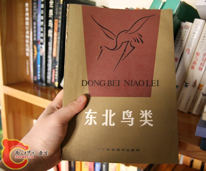 未命名20.jpg
