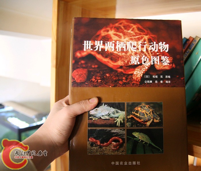 未命名27.jpg