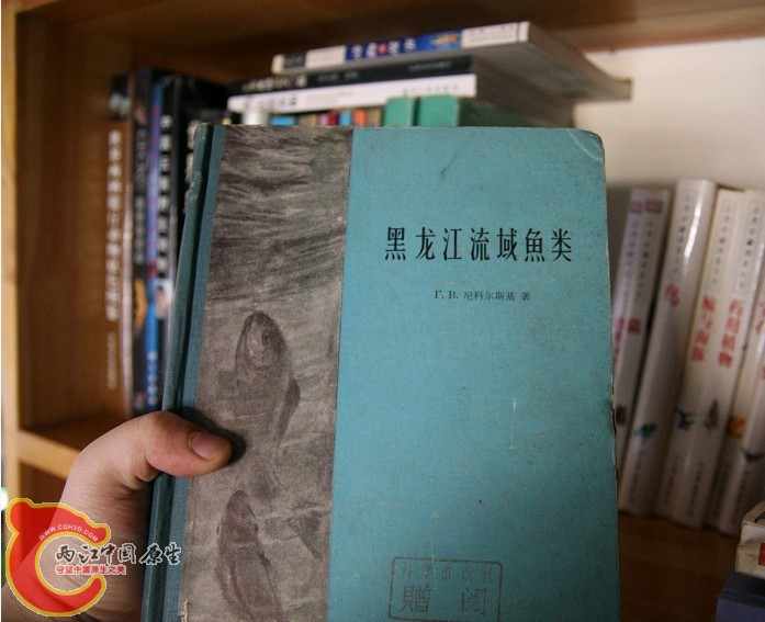未命名16.jpg