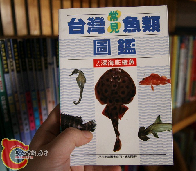 未命名29.jpg