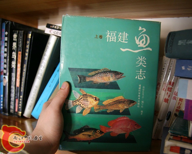 未命名18.jpg