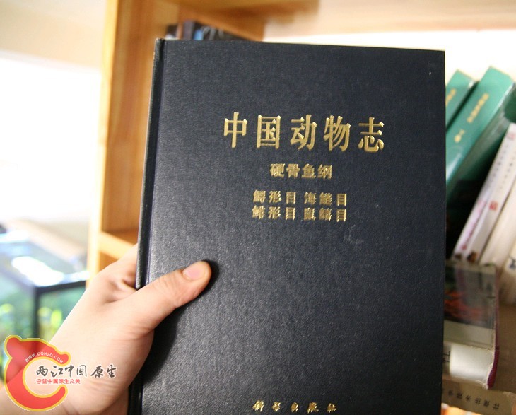 未命名22.jpg