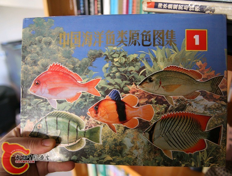 未命名13.jpg